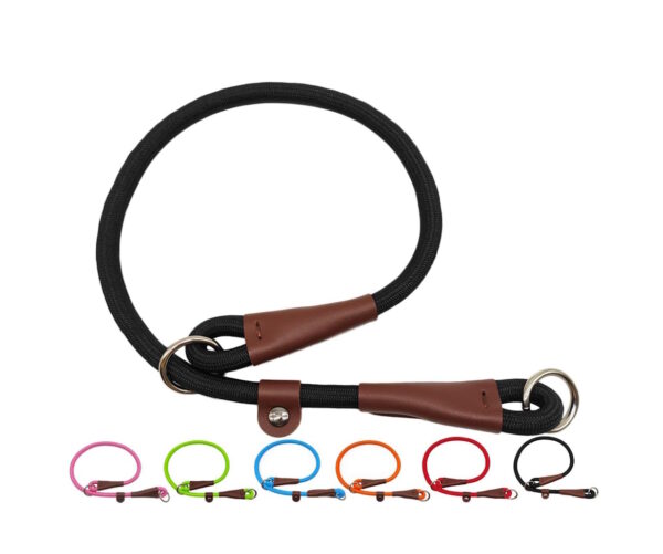 dog slip collar